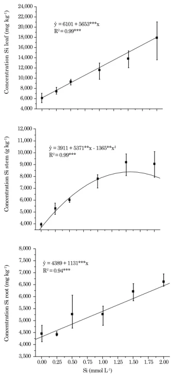 Table 3. Photosynthetic pigment content as a  function of silicon (Si) application rates in maize  plants grown in a nutrient solution with arsenic Si rate Chlorophyll content a* b ns Total* mmol L -1 mg g -1 0.00 1.12 1.24 2.36 0.25 1.80 1.51 3.31 0.50 1.