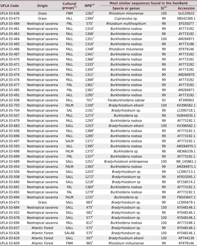 Table 4. Identification of rhizobia strains isolated from cowpea nodules based on 16S rRNA gene sequencing