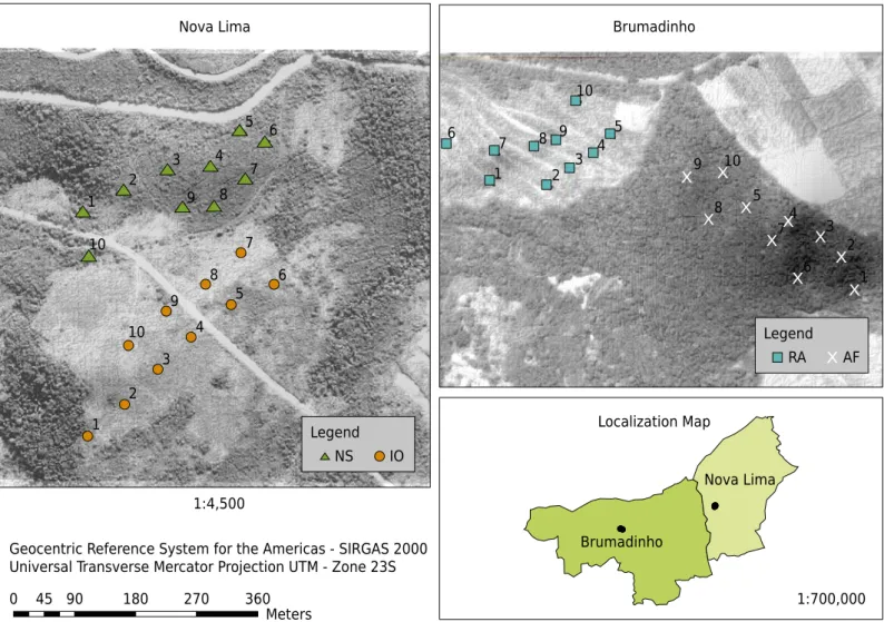 Figure 1.  Map showing the collection sites in the municipalities of Brumadinho, MG and Nova Lima, MG in the neotropical savanna  (NS), ironstone outcrops (IO), Atlantic Forest (AF) and rehabilitated area revegetated with grass (RA).