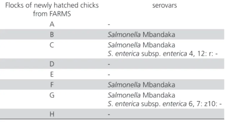 Table 1 –  Salmonella  serovars isolated in meconium  samples from transport boxes of newly hatched chicks.