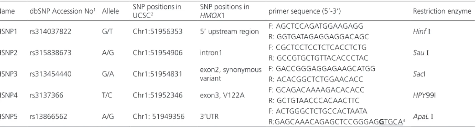 Table 1 – Information on the five SNPs used in HMOX1 haplotype association