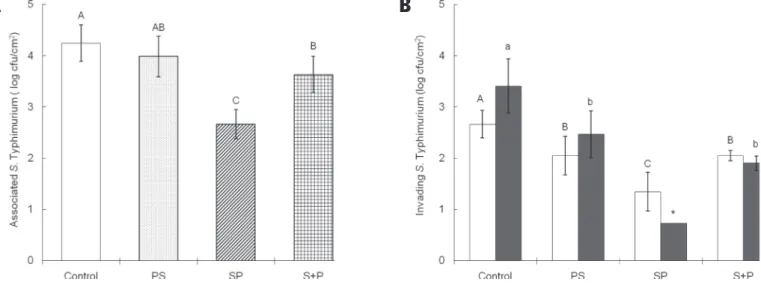 Figure 1 – Adhesion ability of S. Typhimurium (A) intracellular survival at 0 hpi (£) and 24 (■) hpi (B) to INT-407 cells infected with Salmonella or phage alone (control), phage  treatment followed by Salmonella infection (PS), Salmonella infection follow