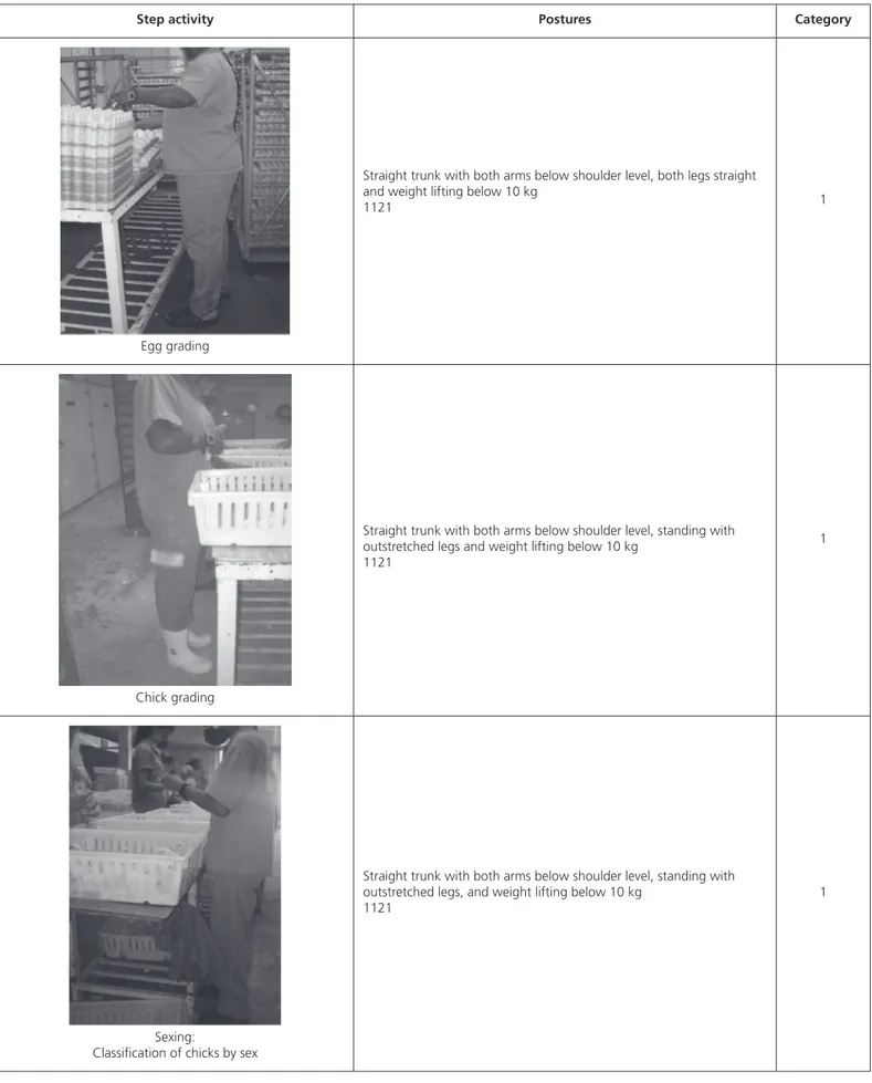 Table 4 - Photographic record of postures, classified according to the OWAS system considering the different activities  performed in the broiler hatchery