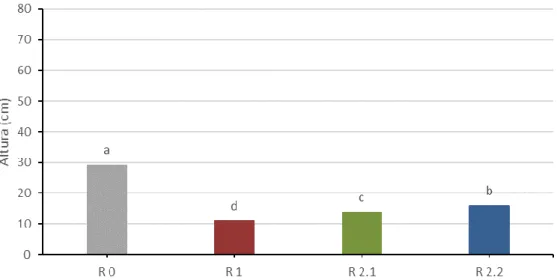 Figura 4.8. Efeito do tratamento de défice hídrico (R 0, R 1, R 2.1 e R 2.2) no valor médio da altura das plantas