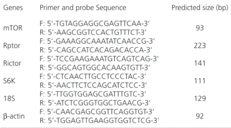 Table 2 – Primers sequences for real-time PCR in the study