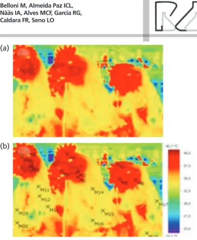 Figure 1. Thermal image of layers (a) and the points marked for calculating mean surface  temperature (b).