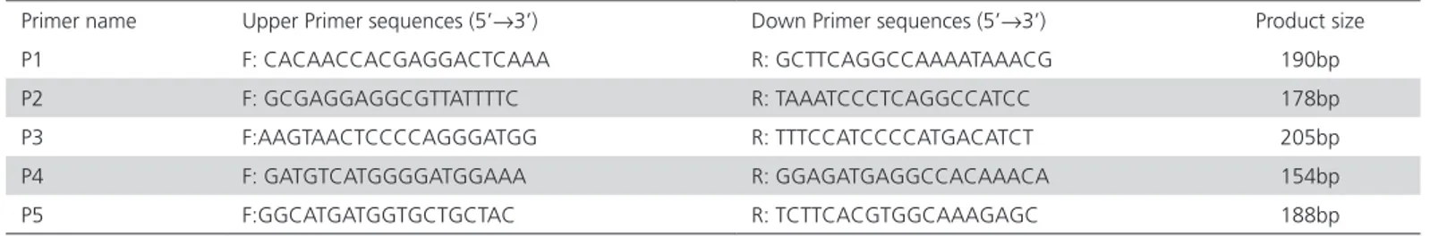 Table 1 – Primer sequences for amplification of the IGFBP-2 gene