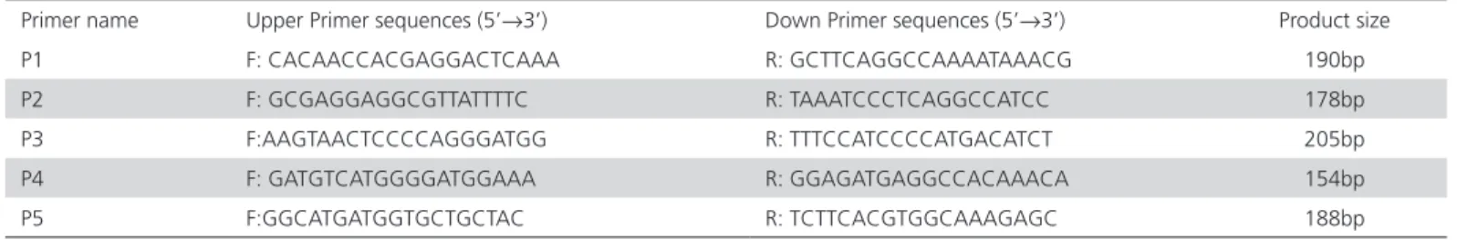 Table 1 – Primer sequences for amplification of the IGFBP-2 gene