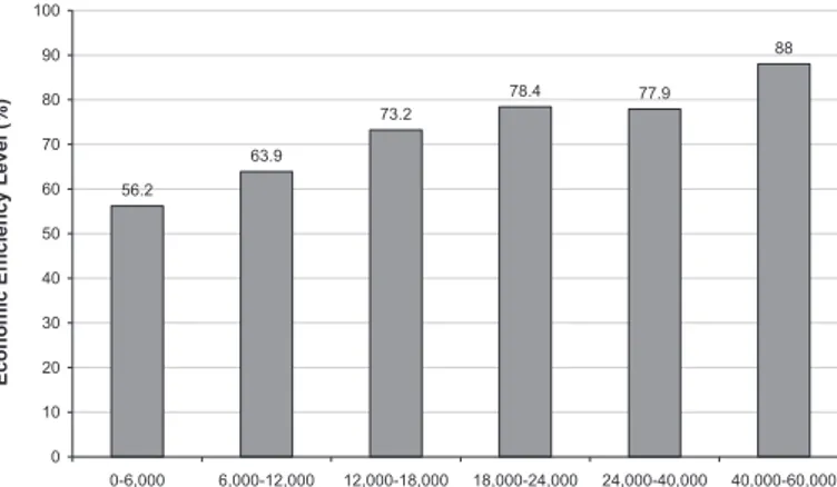 Figure 2 –  Economic efficiency level (%) of broiler breeder farmers for  each of categories of production scale (number of birds/flock).