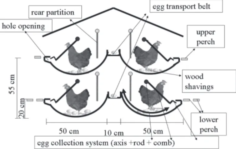 Figure 1 – Mechanical nest designed (module with 24 nests).