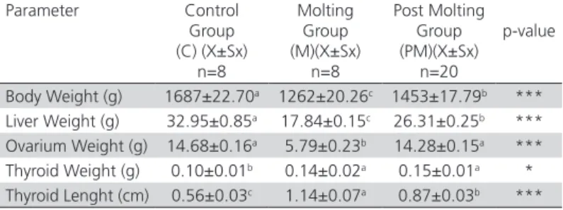 Table 1 – The body weight, liver, ovarium, thyroid weight and  thyroid length of hens in the control (C), molting (M) and post  molting (PM) groups Parameter Control  Group   (C) (X±Sx) n=8 Molting Group   (M)(X±Sx)n=8 Post Molting Group  (PM)(X±Sx)n=20 p-
