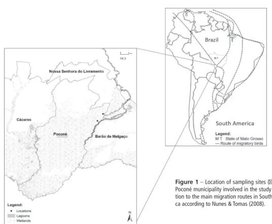 Figure 1  –  Location of sampling sites ( ) in the  Poconé municipality involved in the study in  rela-tion to the main migrarela-tion routes in South  Ameri-ca according to Nunes &amp; Tomas (2008).