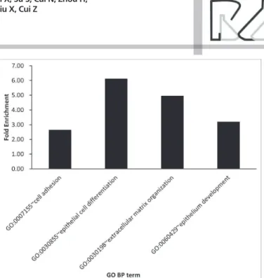 Figure 1 – GO BP annotation associated with down-regulated genes.