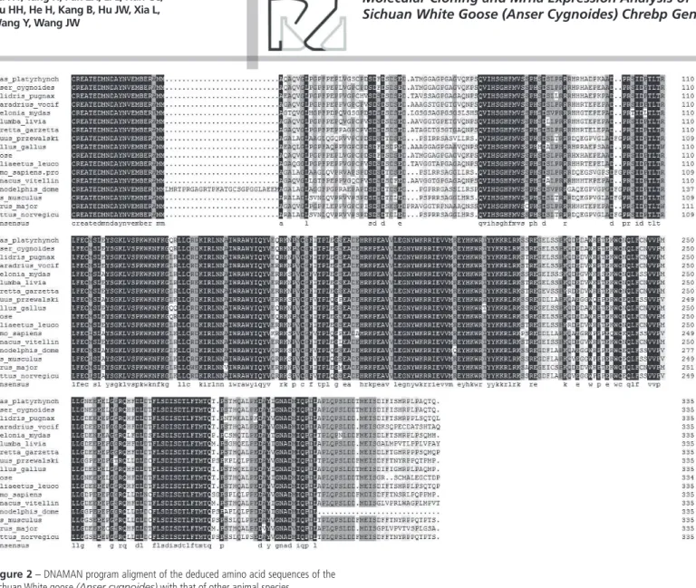 Figure 2 – DNAMAN program aligment of the deduced amino acid sequences of the  Sichuan White goose (Anser cygnoides) with that of other animal species