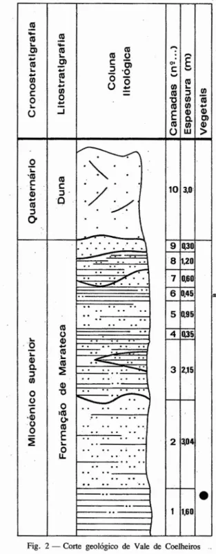 Fig. 2 - Corte geológico de Vale de Coelheiros .0 3) Argilito siltoso de cor cinzenta esverdeada, com