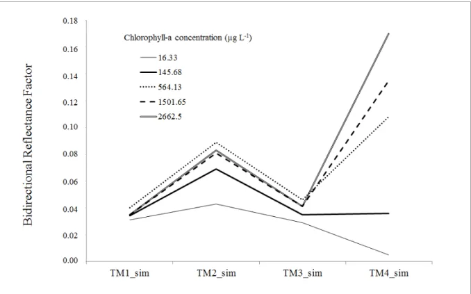 Figure  3.  Bidirectional  Reflectance  Factor  resampled  to  simulate  Landsat/TM  bands  at  sample  stations characterized by increasing chlorophyll-a concentration