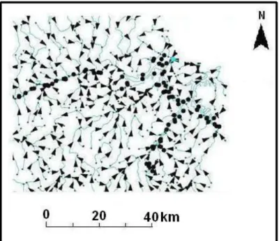 Figure 3. Drainage network connectivity determined  by  the  flow  direction  grid  in  the  downstream  of  the  Paraíba do Sul Basin