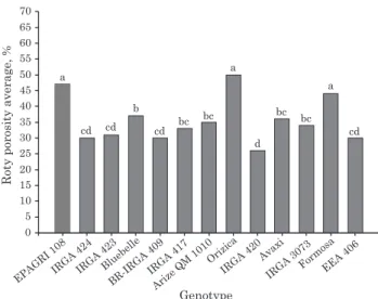 Figure 3. Average relative porosity in three segments of adventitious roots of rice genotypes produced under conditions of hypoxia