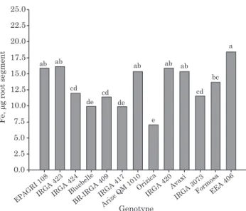 Figure 6. Total iron (sum of three segments) on the surface of adventitious roots of rice genotypes after exposure to a solution of an Albaqualf soil with pH = 6.0 and 80 mg L -1  of Fe.