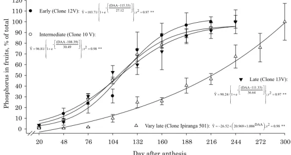 Figure 3. Accumulation of phosphorus in fruits (in percentage of the cumulative total) of four genotypes (clones) of Conilon coffee, from anthesis to fruit maturation