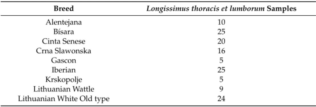 Table 1. Number of Longissimus thoracis et lumborum samples according to pig breed.