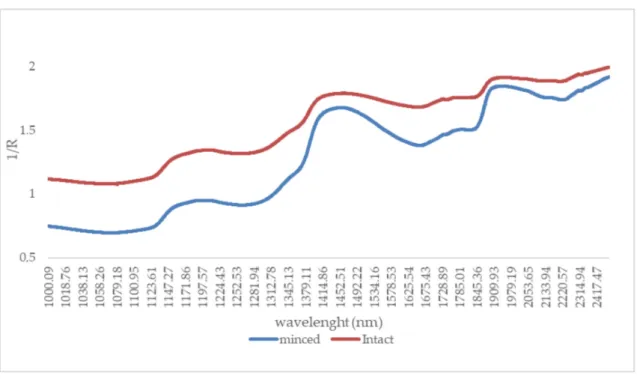 Figure 1. Absorbance mean spectra of minced (blue) and intact (red) Longissimus thoracis et lumborum samples from the 12 breeds studied