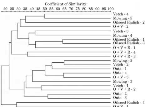 figure 1. dendrogram generated from pcr-dgge of 24 soil samples, collected at 110 days after planting  the  cover  crops