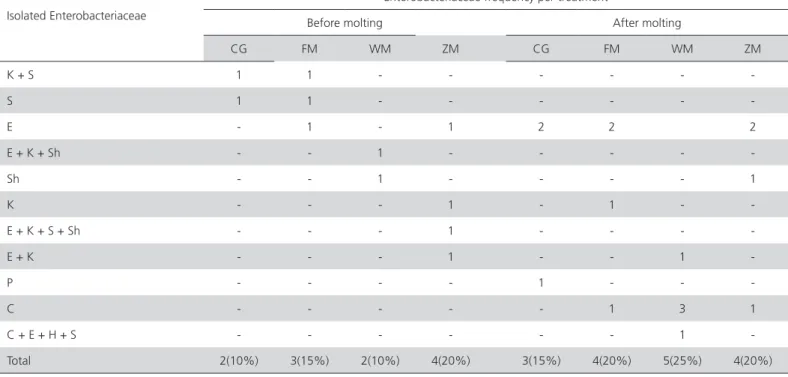 Table 2 shows the presumptive results relative  to Enterobacteriacea isolated in quails submitted to  forced molting by different methods.