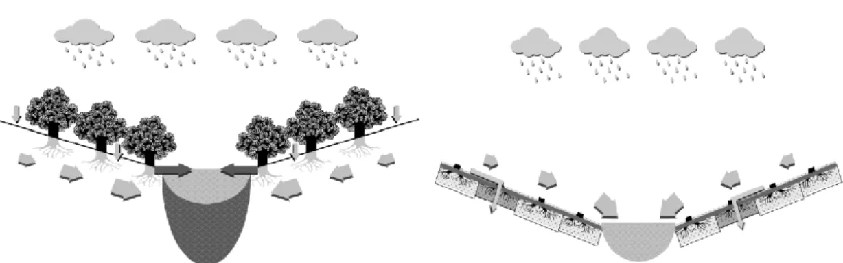 Figura 2: Representação do escoamento de precipitação numa vertente até um curso de água (Moreira et al