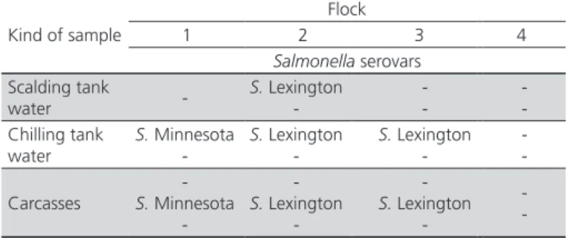 Table 2 –  Salmonella serovars isolated from cecal feces  collected from the litter at different times in four flocks.