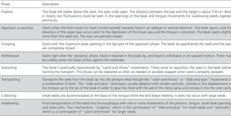 Table 1 – Summarized description of the phases of the pigeon and chicken feeding scenario.