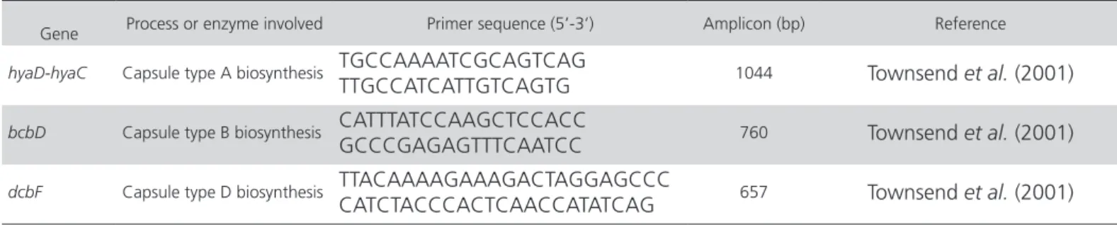 Table 1 - The capsule genes selected, the processes in which they are involved, primer sequences and amplicon sizes.