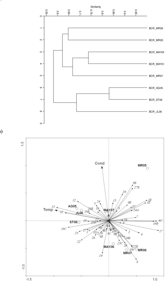 Fig. 3. (a) cluster dendrogram of Crestuma reservoir samples according to DGGE band patterns and (b) RDA ordination triplot of Crestuma  reservoir  DGGE  band  patterns  according  to  the  environmental  parameters  recorded  during  the  study  period  (