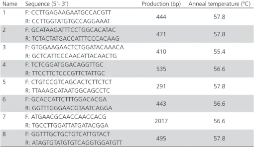Table 1 – BMP6 primer sequence
