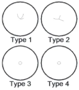 Figure 13 – Four types of failure modes observed when goose eggs were compressed  along the major axis.