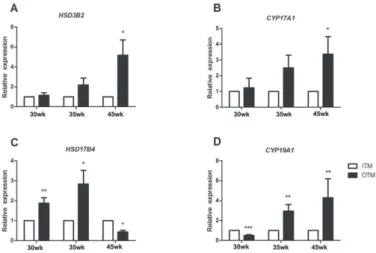Figure 3 – Effect of dietary organic trace minerals premix (OTM) on the mRNA expres- expres-sion level of the genes hydroxysteroid 3-beta dehydrogenase 2 (HSD3B2),  cytochro-me P450 17A1 (CYP17A1), hydroxysteroid 17-beta dehydrogenase 4 (HSD17B4) and  cyto