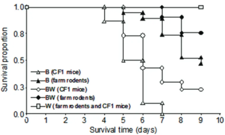 Figure 3 – Survival proportion against time between the beginning and the end of the  experiment, in Mus musculus from poultry farms (farm rodents) and laboratory mice of  the CF-1 strain (CF1 mice) fed with wheat (W), bromadiolone (B) or both kinds of foo