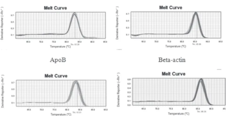 Figure 2 – Melting curve of quantitative PCR