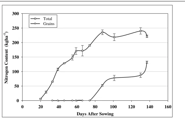 Figure 6. Nitrogen content in the biomass and grain along the maize crop cycle. Vertical  bars are standard error above and below the average