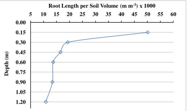 Figure 1. Distribution of root length (meters) per unit volume (cubic meters) of soil (mm -3 )  x 1000