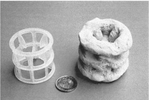 Figure  4.  Single  components  (Pall  ring)  of  the  stripping  towers  packing,  clean and at the highest degree of scaling