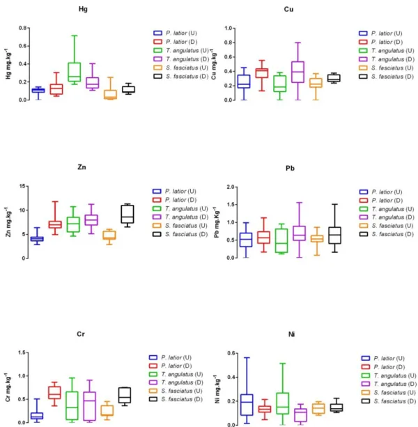 Figure  2. Median,  minimum  and  maximum  concentrations  in  specimens  of  species  P