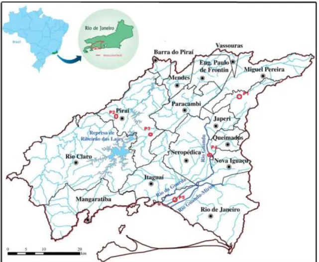 Figure 2. Study site: Guandu Watershed. P indicates sampling stations, 2013-2014. 
