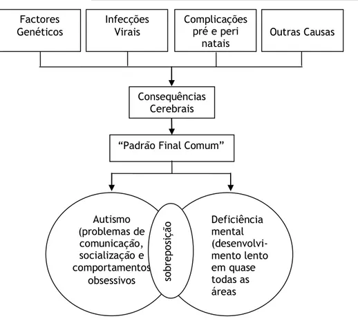 Figura  1-  Representação  do  Modelo  de  Patamar  Comum  adaptado  de Cohen  &amp;  Bolton  (1993,  referido  por  Pereira,  2006a)  Deficiência mental   (desenvolvi-mento lento em quase todas as áreas Complicações pré e peri natais Consequências Cerebra