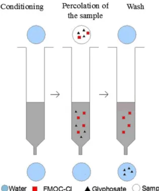 Figure 3. SPE cartridge extraction overview. 