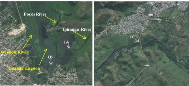 Figure  1.  Collection  sites  -  Local  A  (LA)  –   the  Ipiranga  River  at  the  point  that  it  joins  the  Guandu Lagoon; Local B (LB)  –  the Guandu Lagoon after the influx of the Poços and Ipiranga  Rivers;  Local  C  (LC)  –   the  Ribeirão  das 