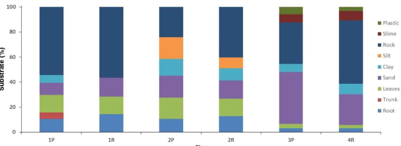 Figure 3. Characterization of substrate at Barbado stream in Cuiabá, Mato Grosso State, Brazil.