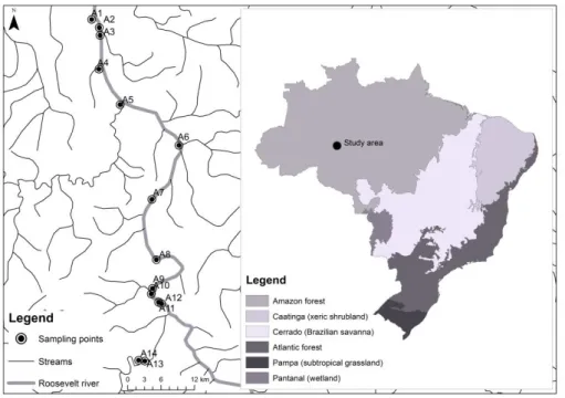 Figure 1. Sampling points at Roosevelt River in the southwestern Amazon  Basin, Brazil