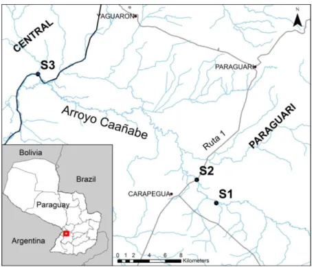 Figura 1. Sitios de colecta de muestras en el Arroyo Caañabe. S1,  aguas arriba de la Ciudad de Carapeguá