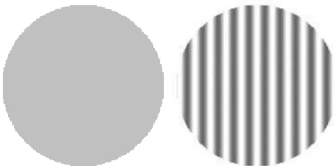 Figura 1. Exemplos de um par de estímulos, à esquerda estímu- estímu-lo neutro com luminância média e à direita uma grade senoidal com freqüência espacial de 1,0 cpg